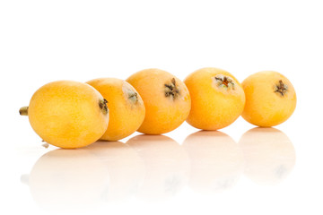 Five fresh orange Japanese loquats in row isolated on white background.