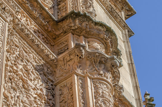 Rana Sobre La Calavera De La Universidad De Salamanca Stock Photo Adobe Stock