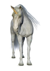 3D Rendering Fairy Tale White Unicorn on White © photosvac