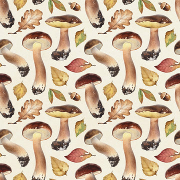 Watercolor illustrations of boletus mushrooms. Seamless pattern