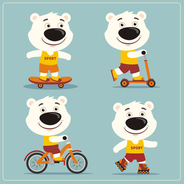 Set of isolated funny polar bear on bike, skateboard, scooter and roller skates.