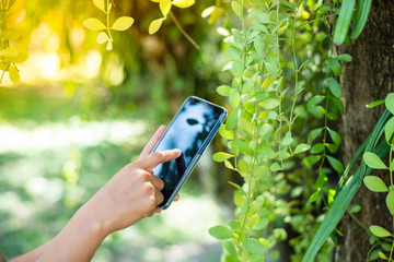 Close up hands playing mobile phone