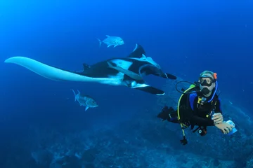 Fotobehang Manta Ray en duiker © Richard Carey