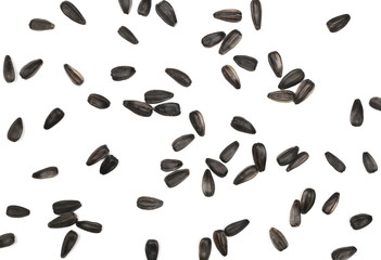 Sunflower seeds pile isolated on white background, top view