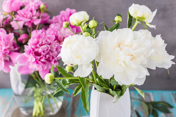 Fototapeta premium Pfingst-Rosen 