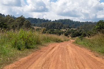 Fototapeta na wymiar Dirt road in country