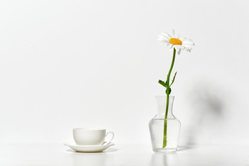 one chamomile flower and a cup in a vase on a table by the wall, white background