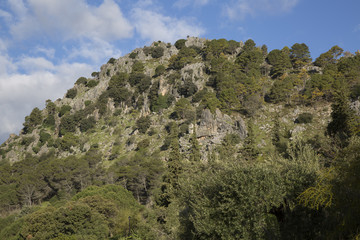 Fototapeta na wymiar National Park of Grazalema