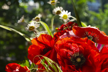 A bouquet of wild flowers.