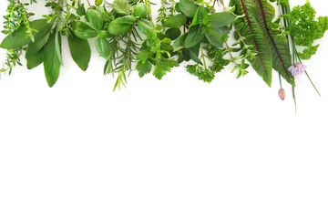Photo sur Plexiglas Aromatique Herbes fraîches du jardin isolé sur fond blanc