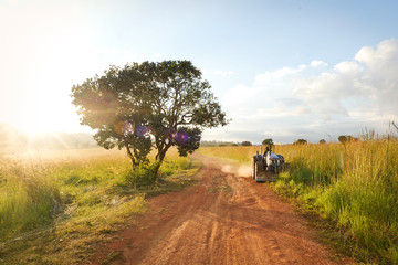 Obraz premium Dirt road in country