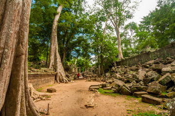 A walkway between the wall ruins of Ta Prohm. On the left side tall trees with their massive roots grew over the reddish wall and on the right side big collapsed stones, partly carved, are piled up.