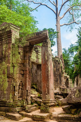 A reddish door frame ruin with bas-reliefs surrounded by collapsed stones in the famous Ta Prohm temple ruins in Angkor, Siem Reap, Cambodia.