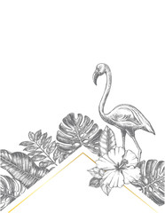 Background with Ink hand drawn hibiscus flower, flamingo bird and tropical leaves. Template for cards, banners, labels. Vector illustration.