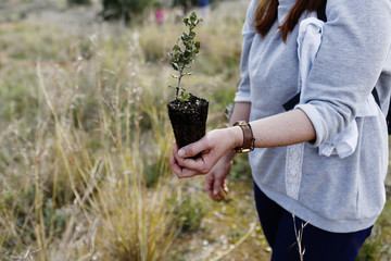 children planting trees in the forest and growing plants cooperating with each other