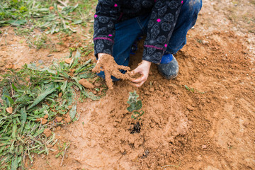 Naklejka premium children planting trees in the forest and growing plants cooperating with each other