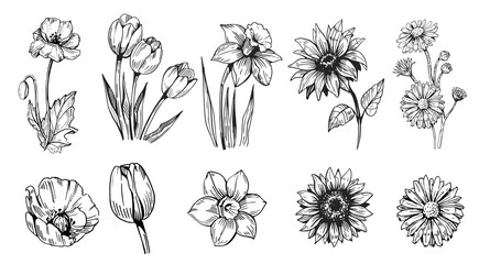 Obraz premium Zestaw kwiatów