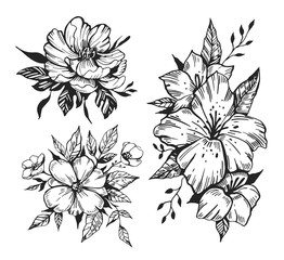 Flowers sketches