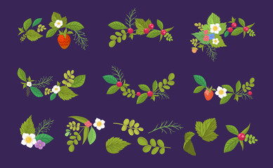 Vector floral set