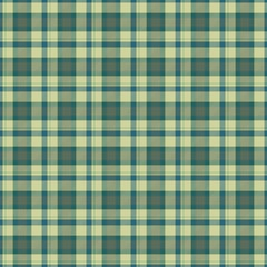 Checked tartan traditional flannel fabric blanket plaid seamless pattern