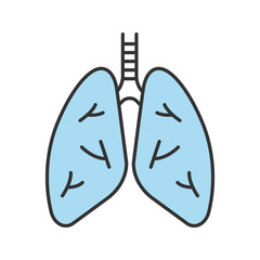 Human lungs color icon