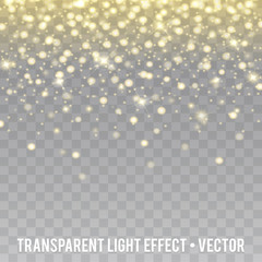 Vector Glow light Effect. Star burst with Sparkles.