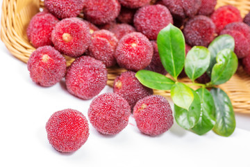 red and ripe waxberry under white background