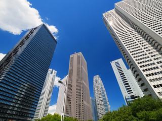 Fototapeta premium 新宿高層ビル街