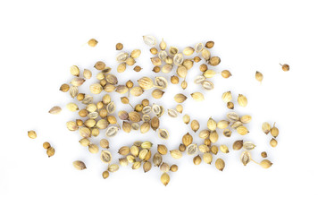 Coriander seeds isolated on white background top view