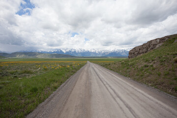 Dirt Road to the Horizon