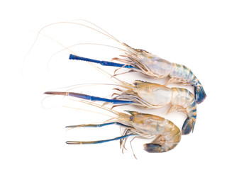 close up shot on lobster on white background, seafood menu for meal