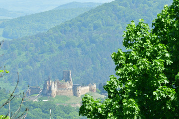 Fototapeta na wymiar old ruins of castle view behind the trees