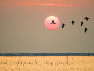 sun set with colorful sky with cloud
