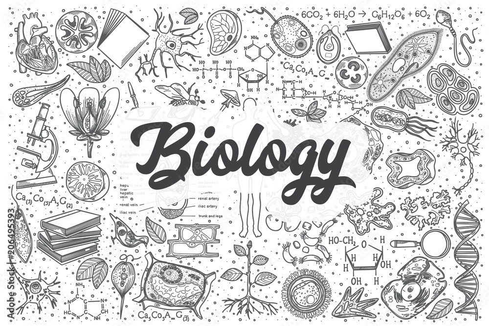 Wall mural hand drawn biology vector doodle set.