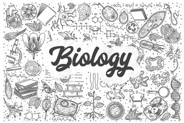 Hand drawn biology vector doodle set. - obrazy, fototapety, plakaty