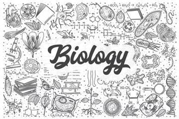 Foto op Aluminium Hand drawn biology vector doodle set. © drawlab19