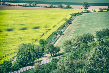 Flowering rapeseed field in spring time, blue filter