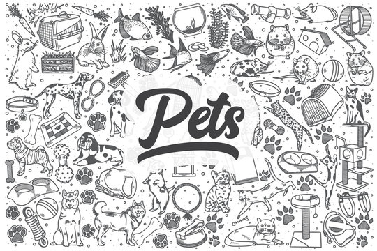 Hand drawn pets vector doodle set.