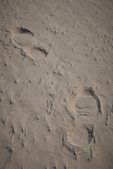 Closeup of sand pattern of a beach .