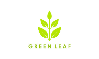 green leaf