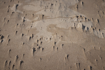 Closeup of sand pattern of a beach .