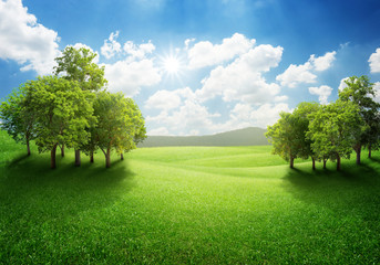 Trees on green hill with blue sky and clouds in background for nature concept
