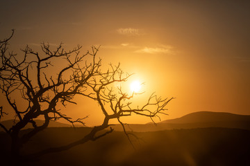 African sunset