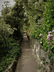 A garden walk in Eastbourne, UK