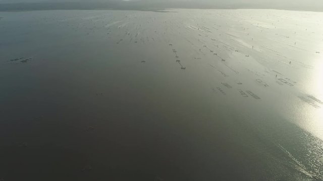 Fish Farm with floating cages in lake Bato. Aerial view Fish farming with cages for whitebait on the surface of the water. Luzon, Philippines.