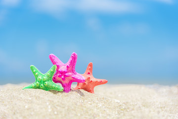 Closed up on colorful starfish,beautiful sea shells on the seashore with blue sky background. Vacation and summer conceptual.