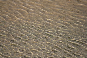 Fototapeta na wymiar 波模様　Wave Pattern　川面　パターン　さざ波　surface river