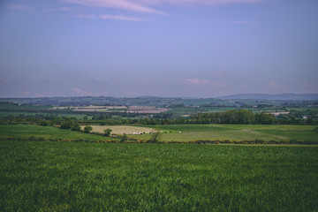 Fototapeta na wymiar Irish countryside fields of green on a sunny day