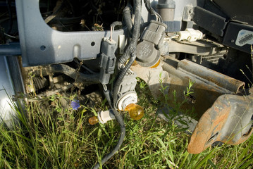 blue chicory under broken car lamp