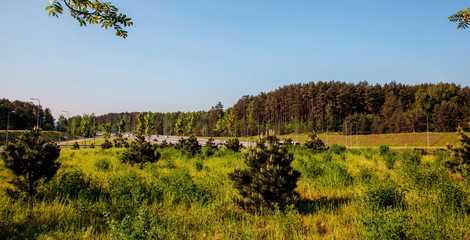 Green Area Near the Road